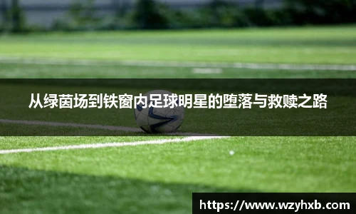 从绿茵场到铁窗内足球明星的堕落与救赎之路